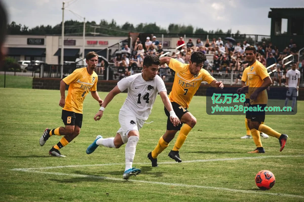 亿万28品牌服务与访问体验
